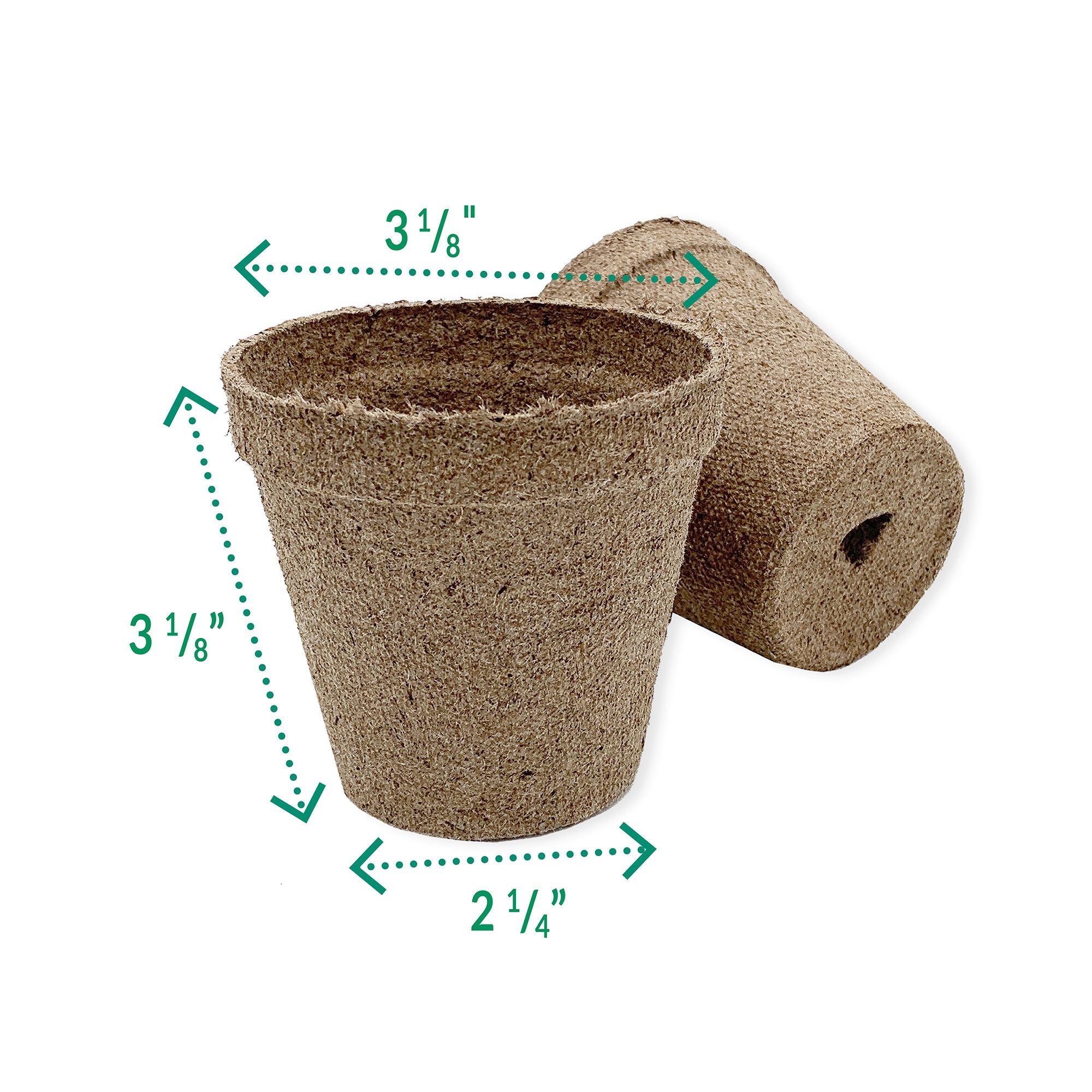 3 inch Jiffy biodegradable peat pots.
